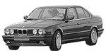 BMW E34 P198E Fault Code